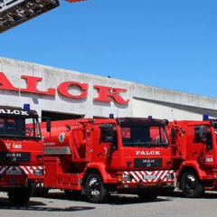 Falck web