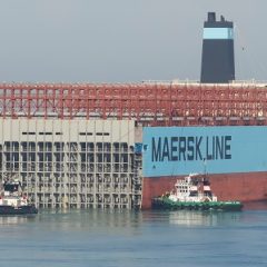 maersk honam